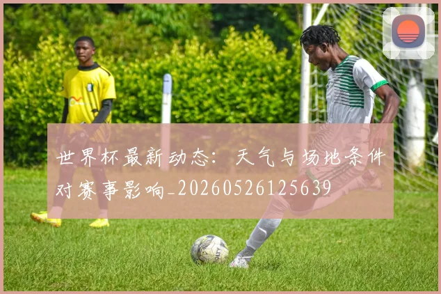 世界杯最新动态:天气与场地条件对赛事影响_20260526125639