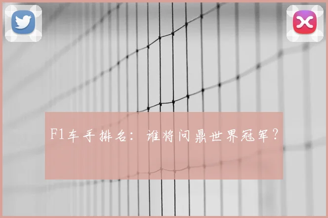 F1车手排名:谁将问鼎世界冠军?