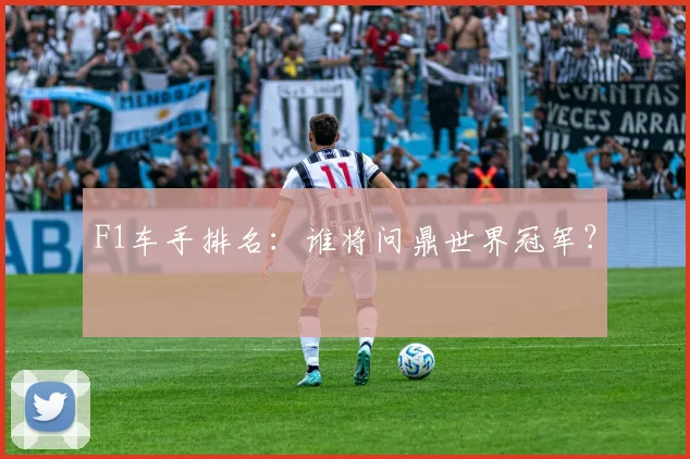 F1车手排名:谁将问鼎世界冠军?