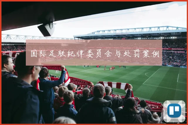 国际足联纪律委员会与处罚案例
