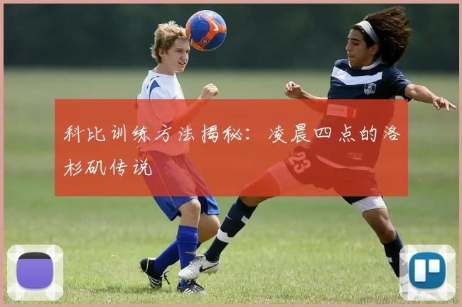 科比训练方法揭秘:凌晨四点的洛杉矶传说