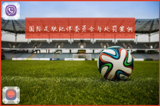 国际足联纪律委员会与处罚案例